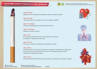 Инфографики