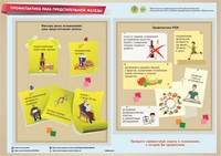 Инфографики