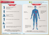 Инфографики