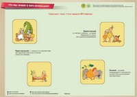 Инфографики