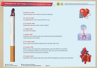 Инфографики