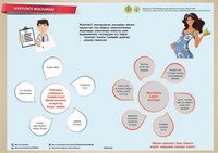 Инфографики