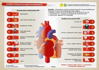 Инфографики