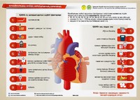 Инфографики
